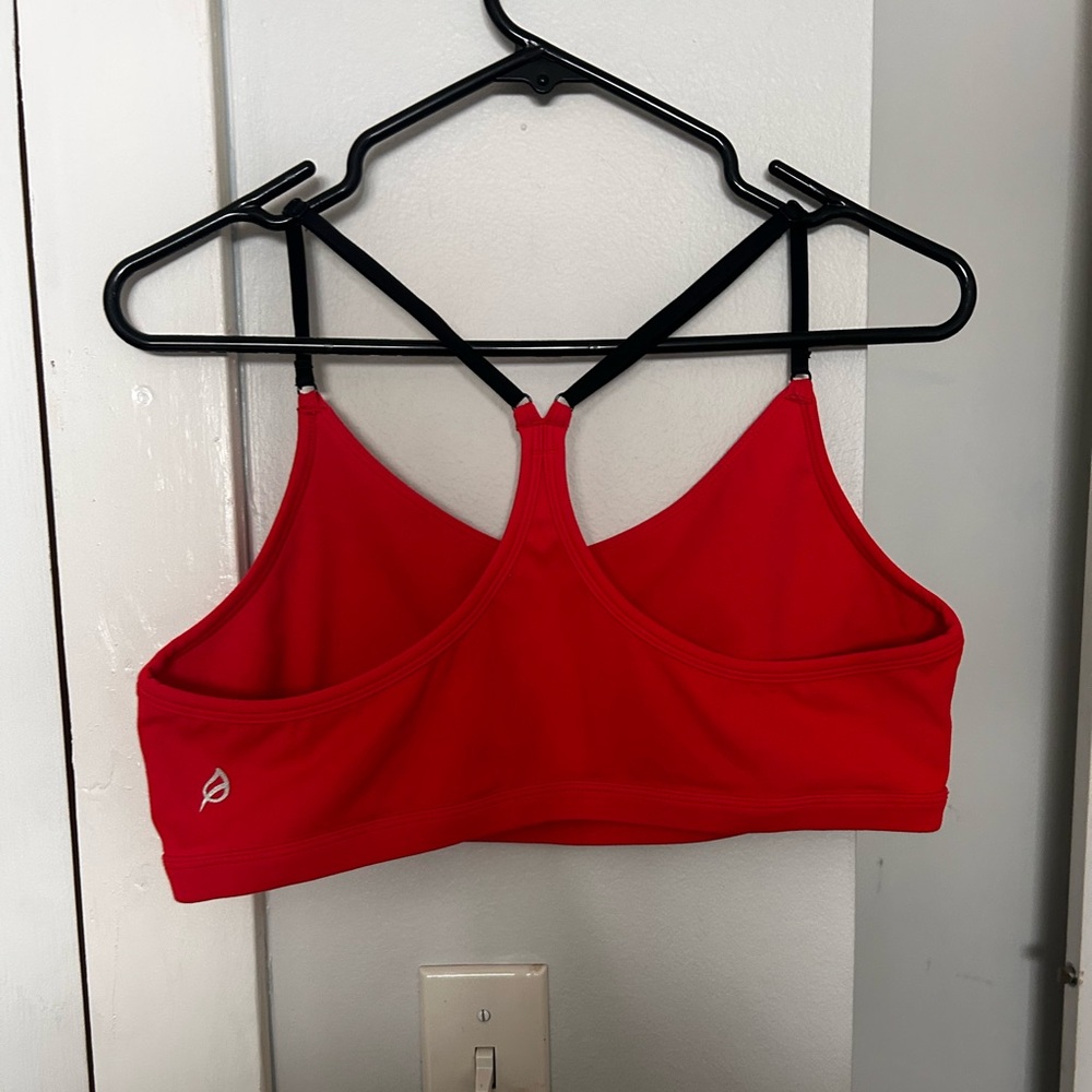 Set (2) Ptula Casey bras - Picture 3 of 13